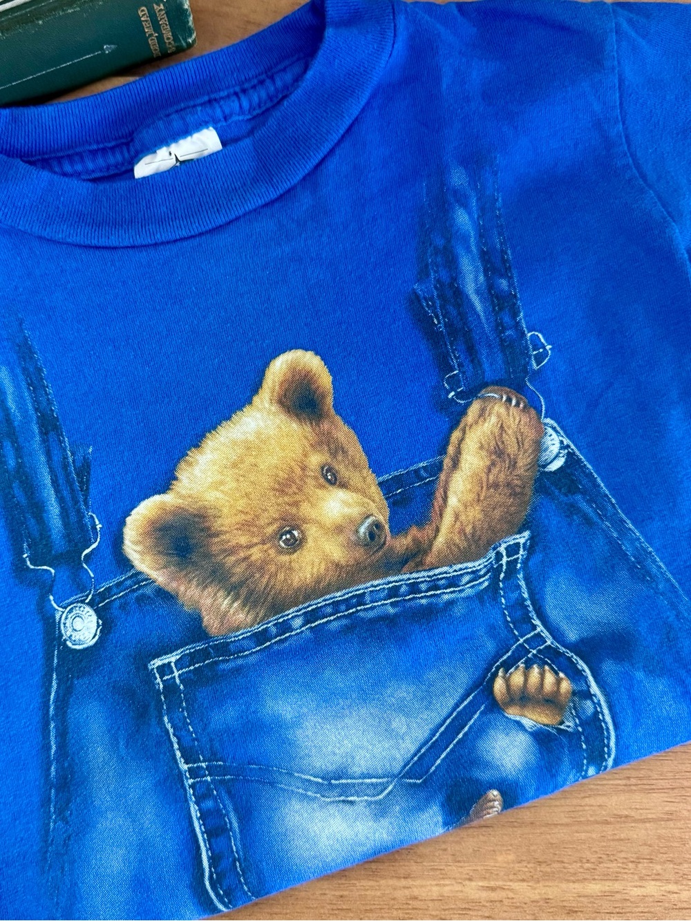 Vintage Teddy Bear Graphic Tee Pancake Bay Ontario Kids Size 4
